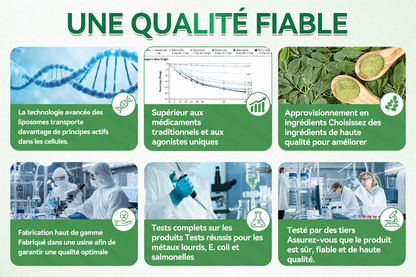 [Magasin officiel phare]👩‍⚕️ | Purelora® Moringa · Berbérine × NAD+ 10-en-1 Patch Nano-Aiguilles Avancé 🇫🇷 | 𝘽𝙖𝙠𝙚𝙙 𝙗𝙮 𝙨𝙘𝙞𝙚𝙣𝙘𝙚 | Formule 10-en-1 | Résultats en 7 jours ⏳